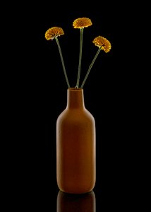 Warme bloemen in een bruine vaas door Louie Luo