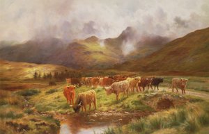 Een Schotse kudde in Strathfillan, Perthshire