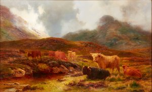 Heide bij Clachaig, Glencoe