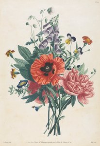 Collectie van Bloemen en Vruchten Geschilderd naar de Natuur: Boeket van Vingerhoedskruid, Clematis, Viooltje, Pioenroos, Papaver en Gele Daglelie