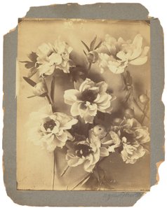 Tiffany Studios, c.1898-1920