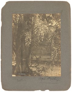 Tiffany Studios, c.1898-1920