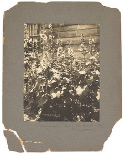 Tiffany Studios, c.1898-1920