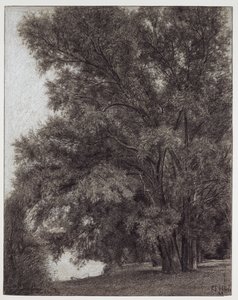  door Louis Eysen