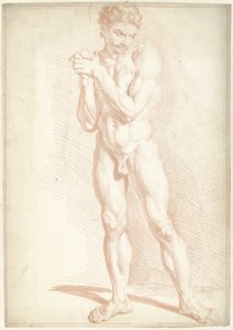 Mannelijk naakt, staand