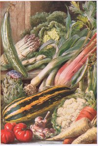 Tuin groenten, illustratie uit 