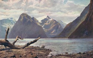 Scène op Milford Sound, Nieuw-Zeeland (kleur foto)