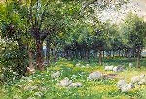 Schapen in een boomgaard in de lente
