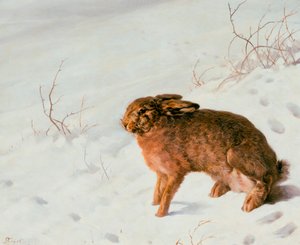 Haas in de sneeuw, 1875 door Louis Ferdinand von Rayski