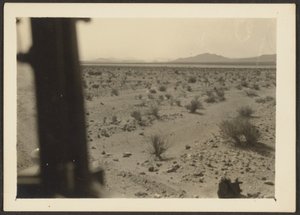 [Amargosa Woestijnplanten].