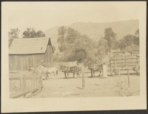 [Barnyard Scene]. door Louis Fleckenstein
