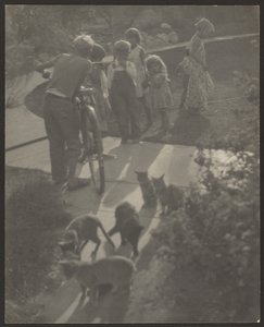 [Kinderen en katten]