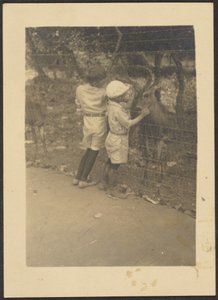 [Kinderen bij hek met hert]