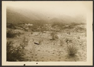 [Coyote Canyon]