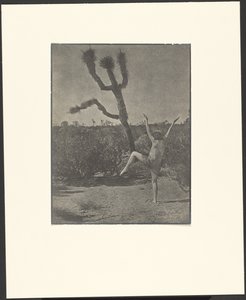 Dansende meester