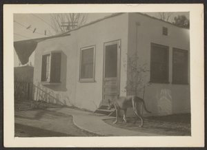 [Hond bij Huis] door Louis Fleckenstein