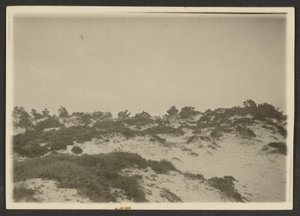 [Duinen] door Louis Fleckenstein