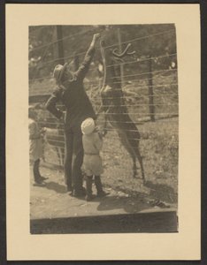 [Herten voeren].