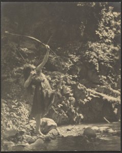[Vrouwelijke boogschutter in het bos].