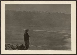 [Figure Overlooking Coast].