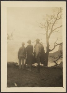 [Figuren in schaduw met boom].