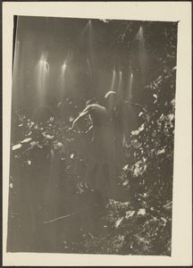 [Figuren in het bos].