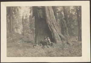 [Figuren te paard in holte van enorme boom]. door Louis Fleckenstein