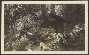 [Forest Lodge].