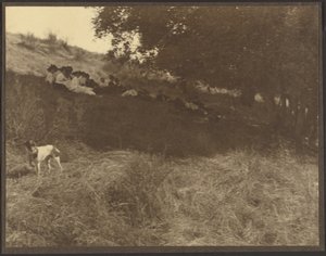  door Louis Fleckenstein