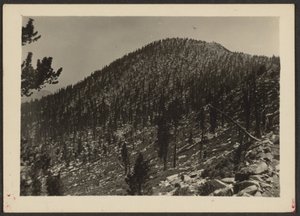 [Jean Peak from Trail].
