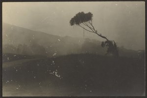 Laguna Strand