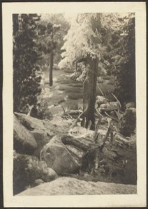 [Landschap]