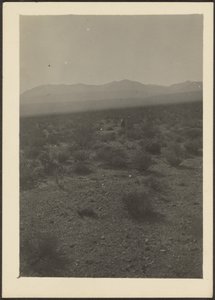 [Landschap]