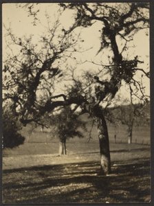 [Landschap]
