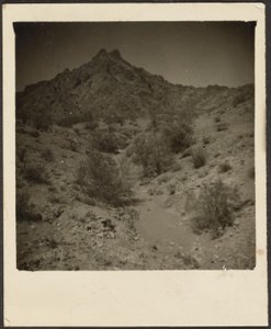 [Landschap]