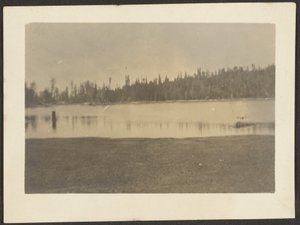 [Landschap]