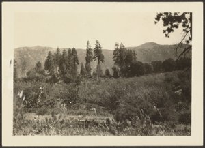 [Landschap] door Louis Fleckenstein