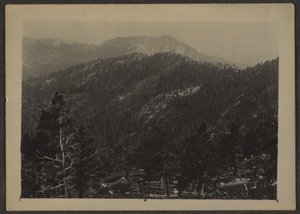 [Landschap]