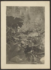 [Landschap] door Louis Fleckenstein