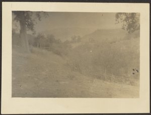 [Landschap]