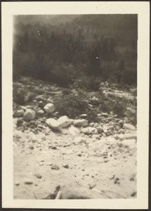 [Landschap]