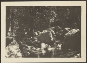 [Landschap]