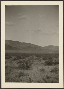 [Landschap]