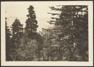 [Landschap] door Louis Fleckenstein