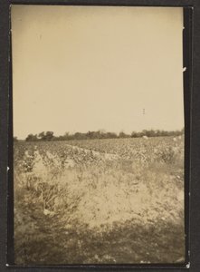 [Landschap]