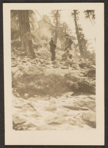 [Landschap]