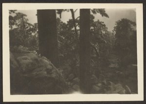 [Landschap] door Louis Fleckenstein