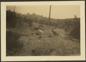 [Landschap]