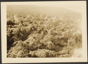 [Landschap] door Louis Fleckenstein
