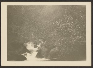 [Landschap]